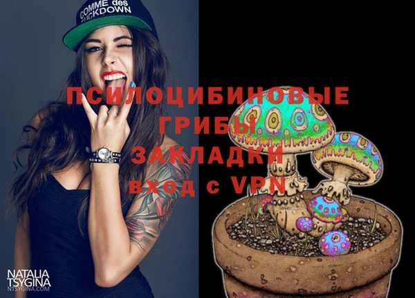 2c-b Абинск