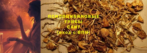 ГАЛЛЮЦИНОГЕННЫЕ ГРИБЫ Абаза