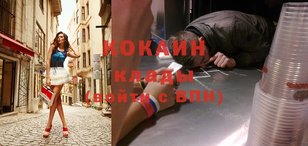 ГАЛЛЮЦИНОГЕННЫЕ ГРИБЫ Абаза
