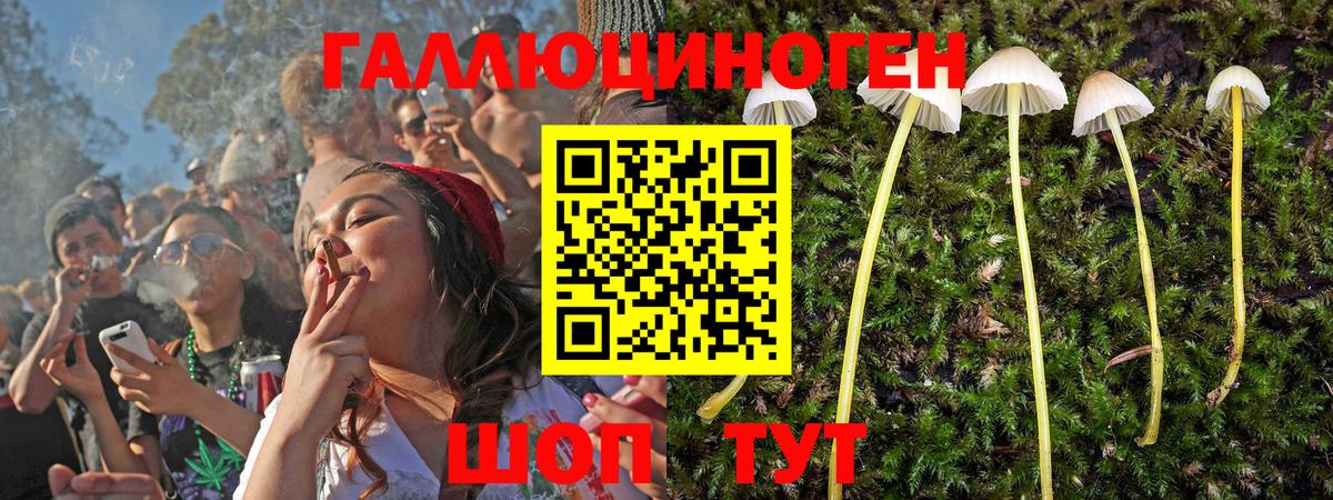 Галлюциногенные грибы Psilocybe  Псилоцибиновые грибы прущие грибы  Сызрань  Вход с VPN 